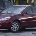 106-3530 3 MINKS.jpg